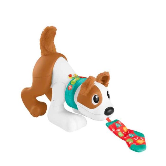 Fisher Price Laugh & Learn 123 Crawl With Me Puppy