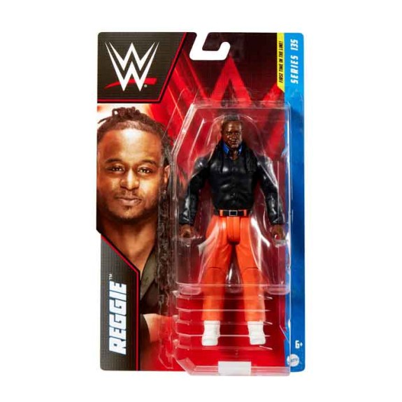 WWE Figure Asst 4