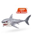 S001-ROBO ALIVE - SHARK ATTACK - SERIES 1-SWIMMING SHARK- WINDOW BOX - 6PCS/CTN