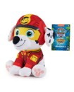 Paw Patrol Jungle Basic Plush Asst. CDU C